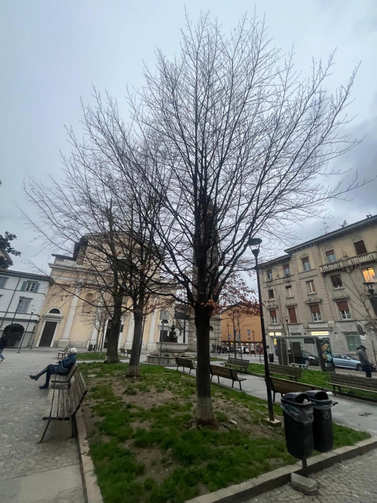 Apartment Panoramic St Anna Bergamo